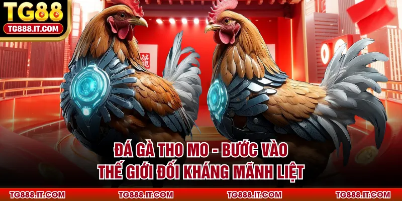 Đá Gà Tho Mo - Bước Vào Thế Giới Đối Kháng Mãnh Liệt